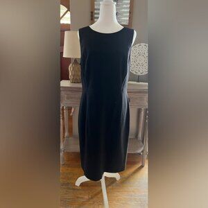Talbots Fitted Dress